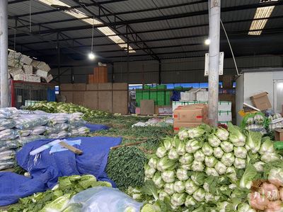 新春走基层|探访西南最大农产品批发市场:蔬菜由两天一发变为一天一发